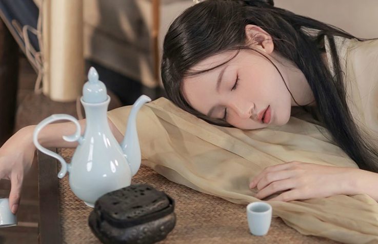 【PC/官中/武侠/SLG/3.70G】侠女逍遥录 Ver0.78 官方中文版+HTML+武侠SLG游戏+3.70G-ACG新家园