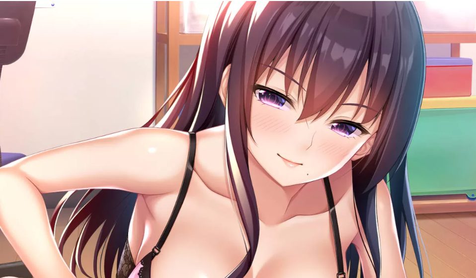 【安卓/PC/汉化版/CG/3.0G】请停手吧姐姐大人!要断了!完整汉化版 PC+安卓+全CG+补+3.0G