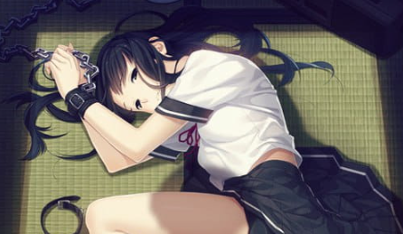 【PC/精翻汉化/ADV/CV/存档/2.74G】夏之锁 (夏ノ鎖) Ver1.0.1 精翻汉化+CV存档+ADV游戏+2.74G-ACG新家园