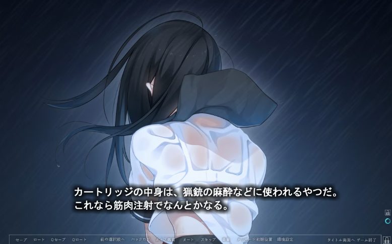 【PC/精翻汉化/ADV/CV/存档/2.74G】夏之锁 (夏ノ鎖) Ver1.0.1 精翻汉化+CV存档+ADV游戏+2.74G