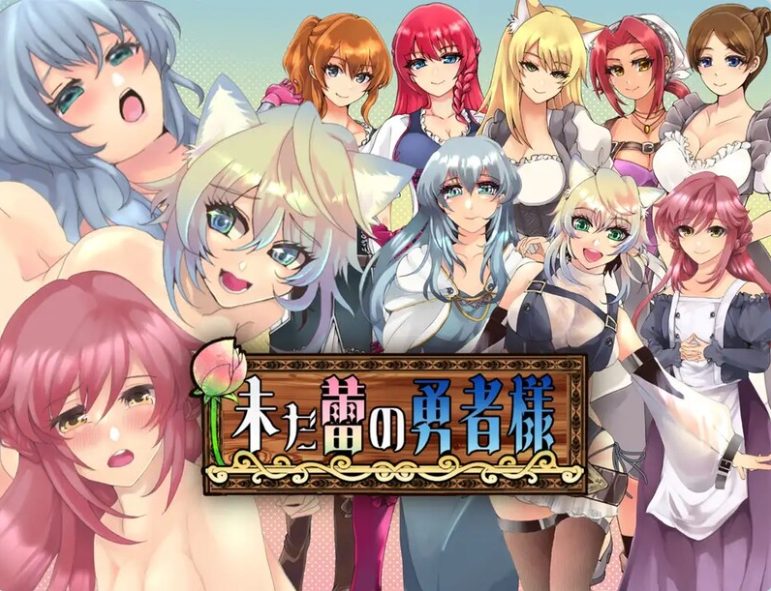 【PC/安卓/汉化版/RPG游戏/2.39G】未开花的勇者大人 Ver1.0.2 汉化版+PC+安卓+RPG游戏+2.39G-ACG新家园